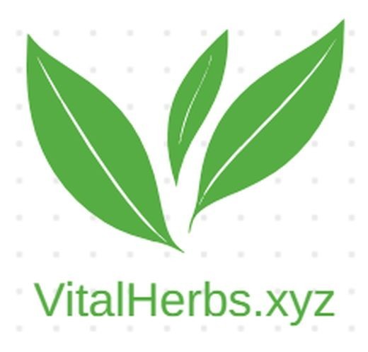 VitalHerbs.xyz - Great Domain Name for Sale - Nature Healing, Health