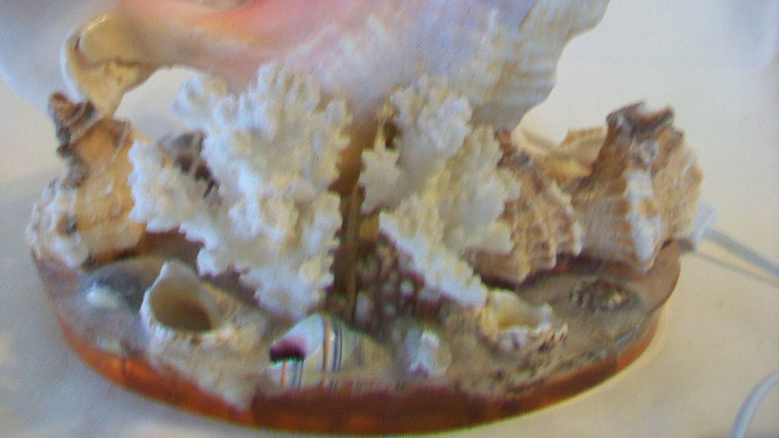 Conch Seashell Night Light with Many Other Shells on Clear Resin Base