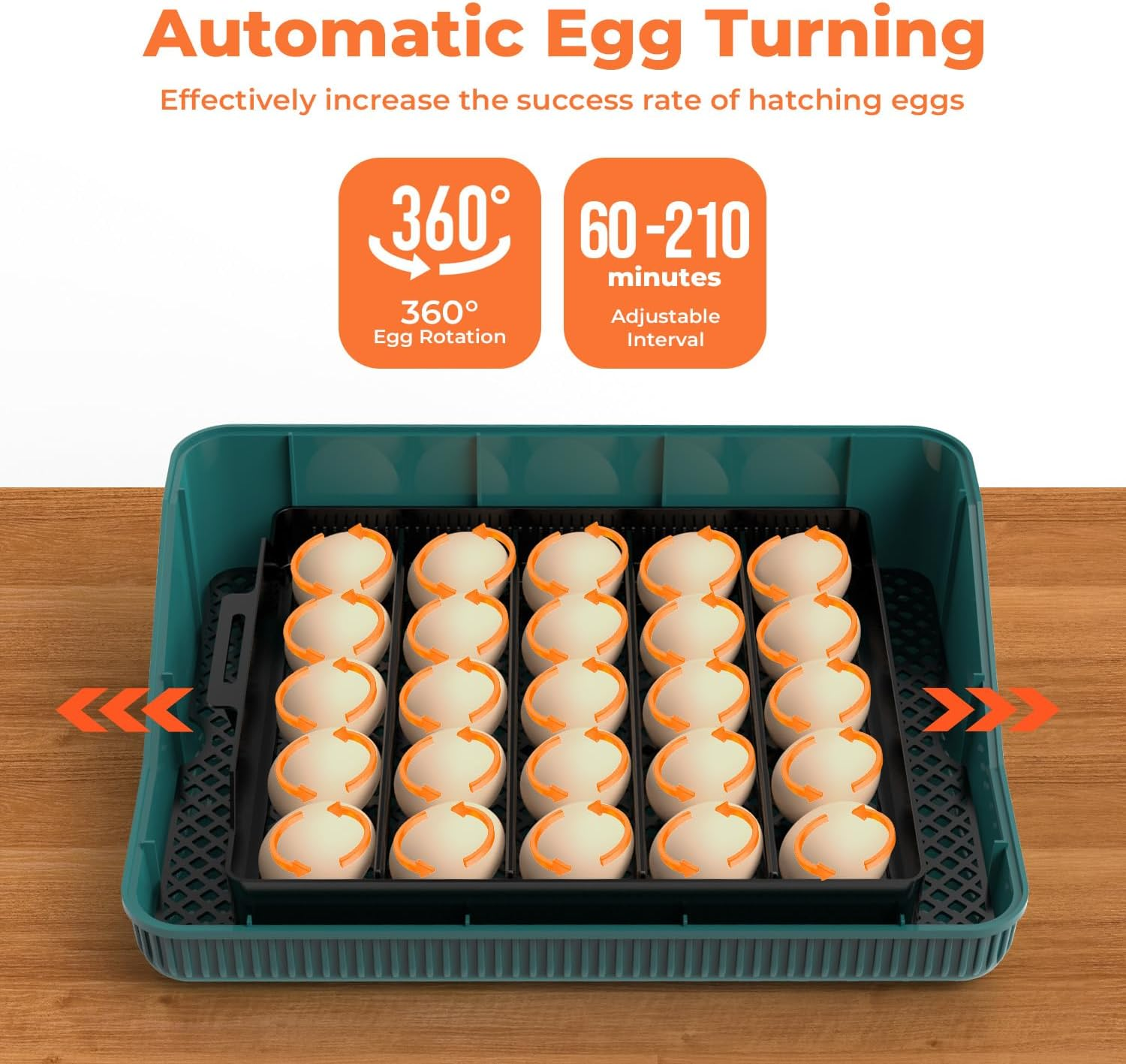Automatic Egg Incubator for Hatching Eggs: Egg Incubator with Automatic Egg Turn