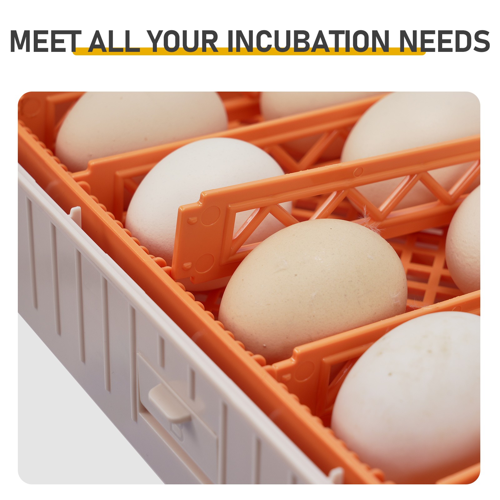 56-Egg Automatic Incubator Auto Temp Humidity LED Egg Candler US Plug 110V