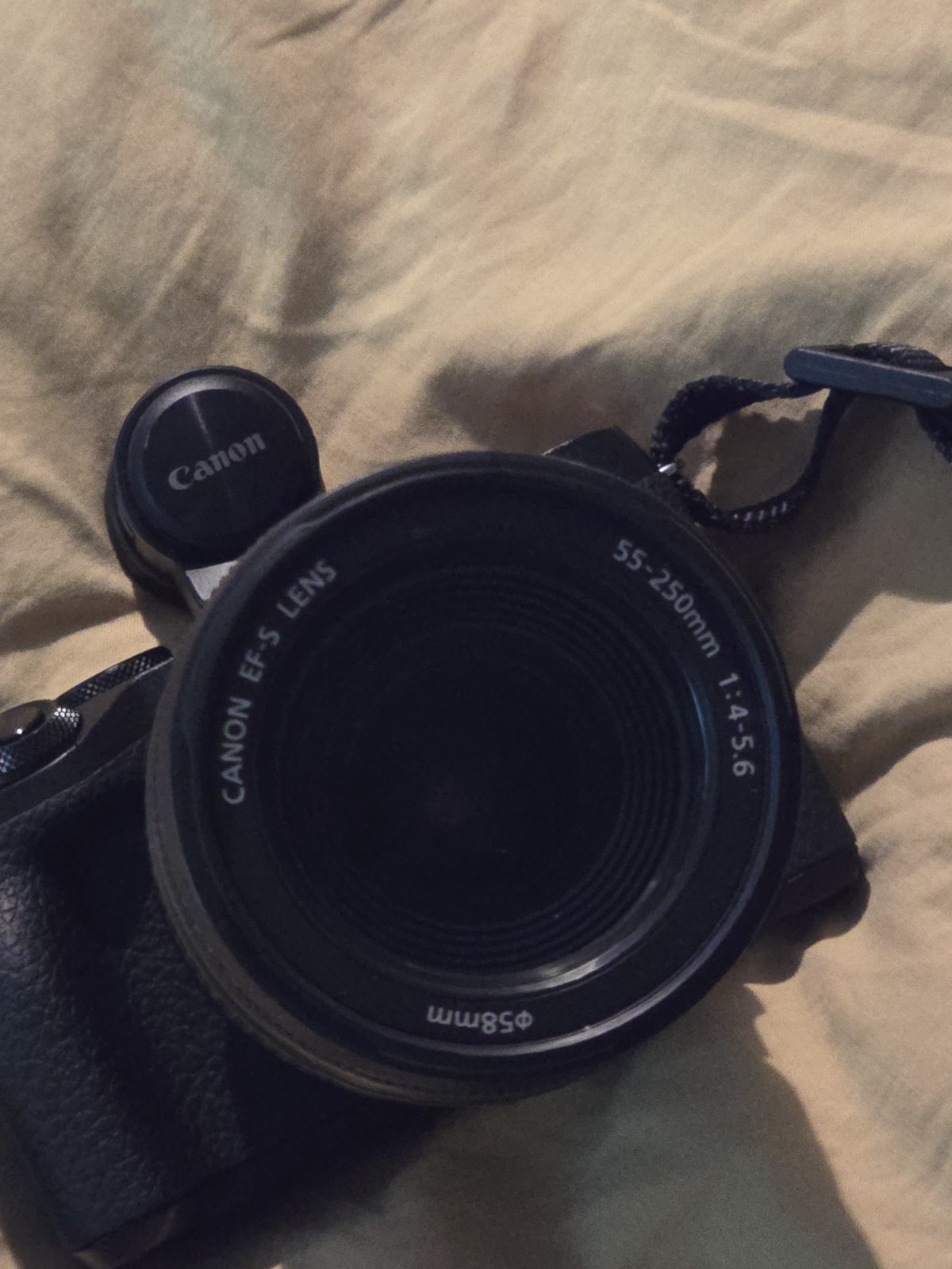 Canon EOS M6 Mark II Bundle: EF-S 18-200mm & Sigma 17-70mm, Bag