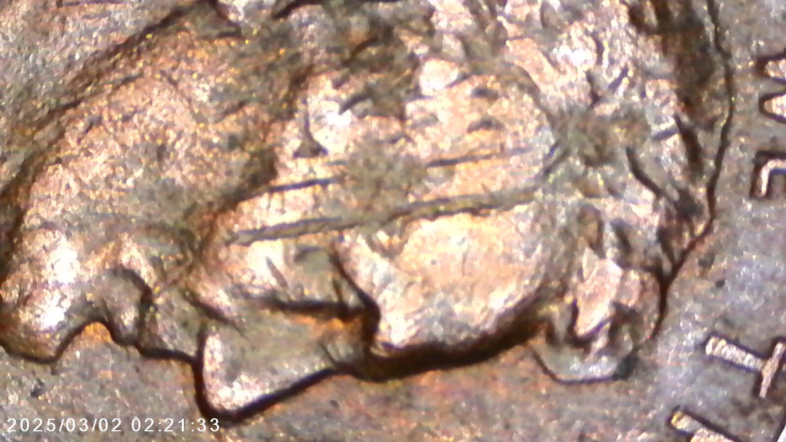 Penny-1984 D Lincoln Cent Error line in the head