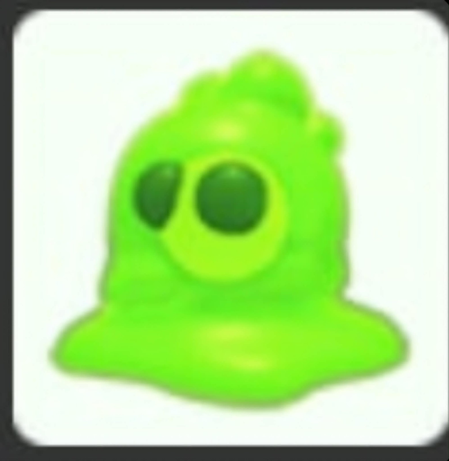 Slime | NFR | MFR | Adopt Now