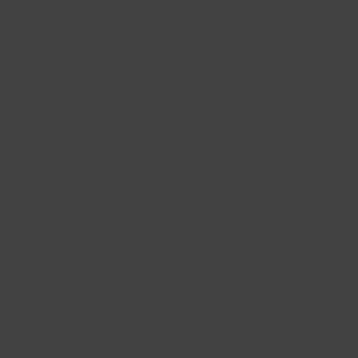Rust-Oleum Outdoor Fabric Spray Paint, 12 oz, Graphite