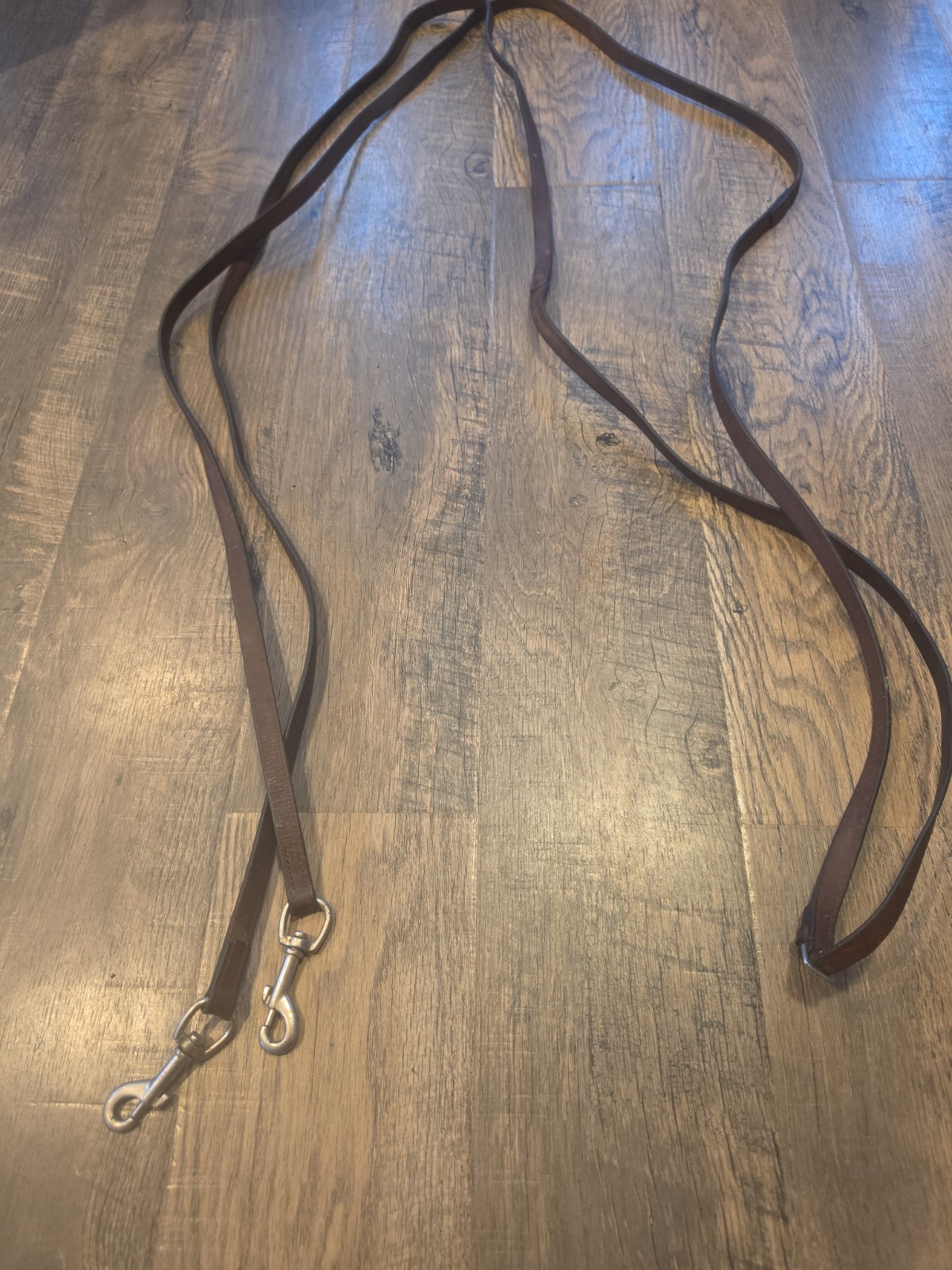 Horse Reins