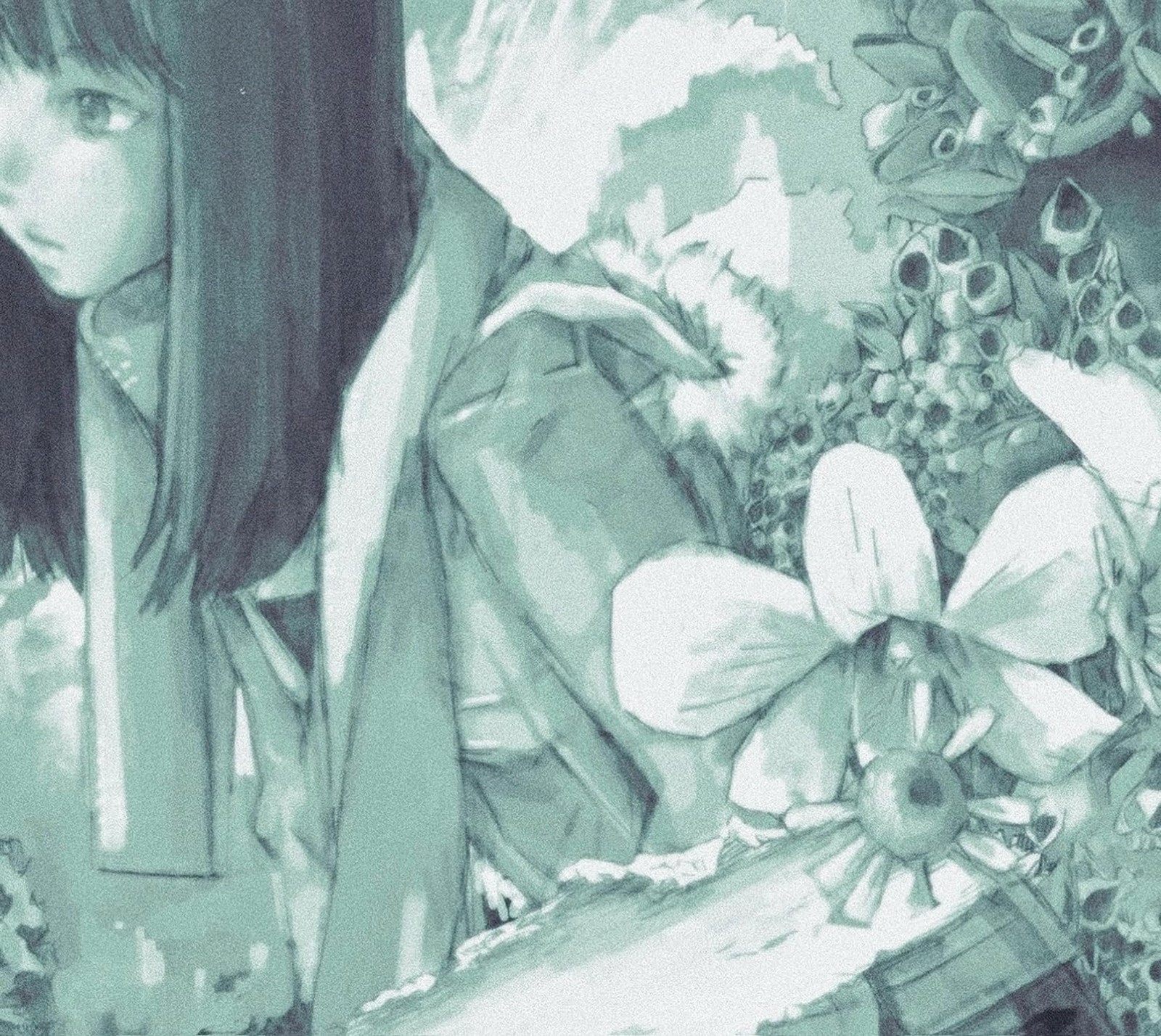 cephalo Fluorite code From Japan CD 8tracks