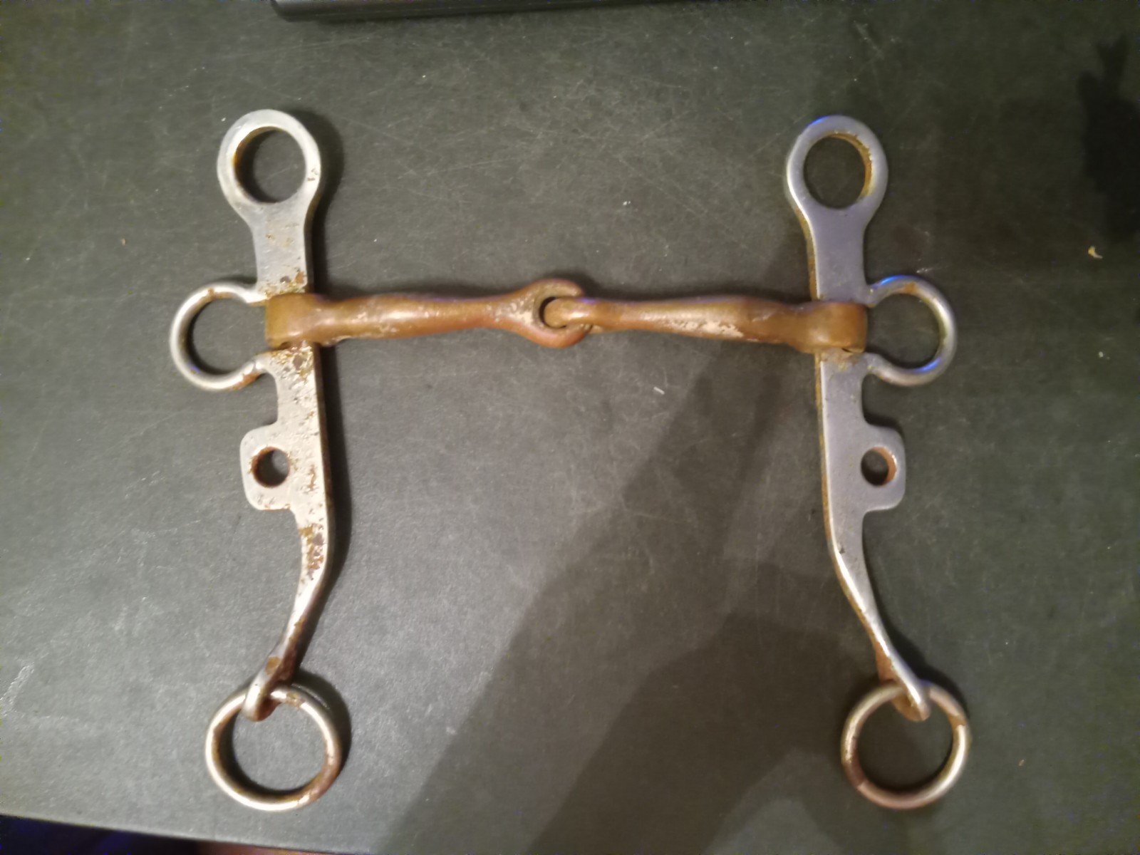 Argentine snaffle bit 5 1/4 inch copper mouth