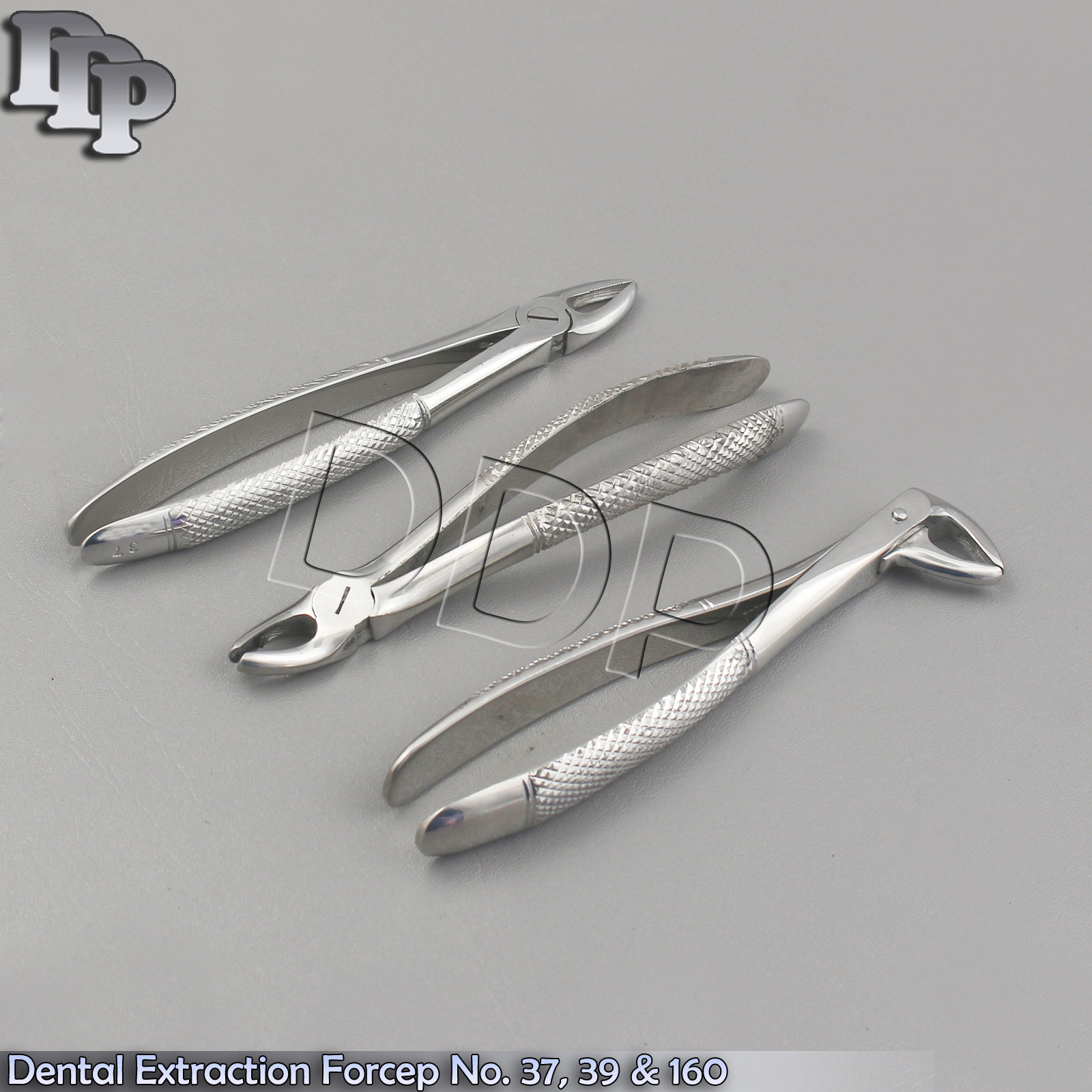 Dental Extraction Forcep No. 37, 39 & 160 Dental Surgical Orthodontic Instrument