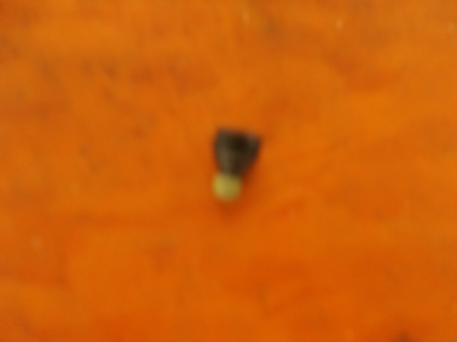 Paslode Part # 904557 Screw (IM250A/F16)