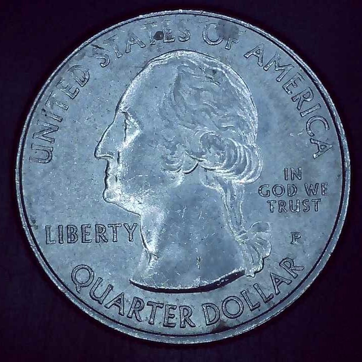 2018 P Quarter Apostle Island error die chip.