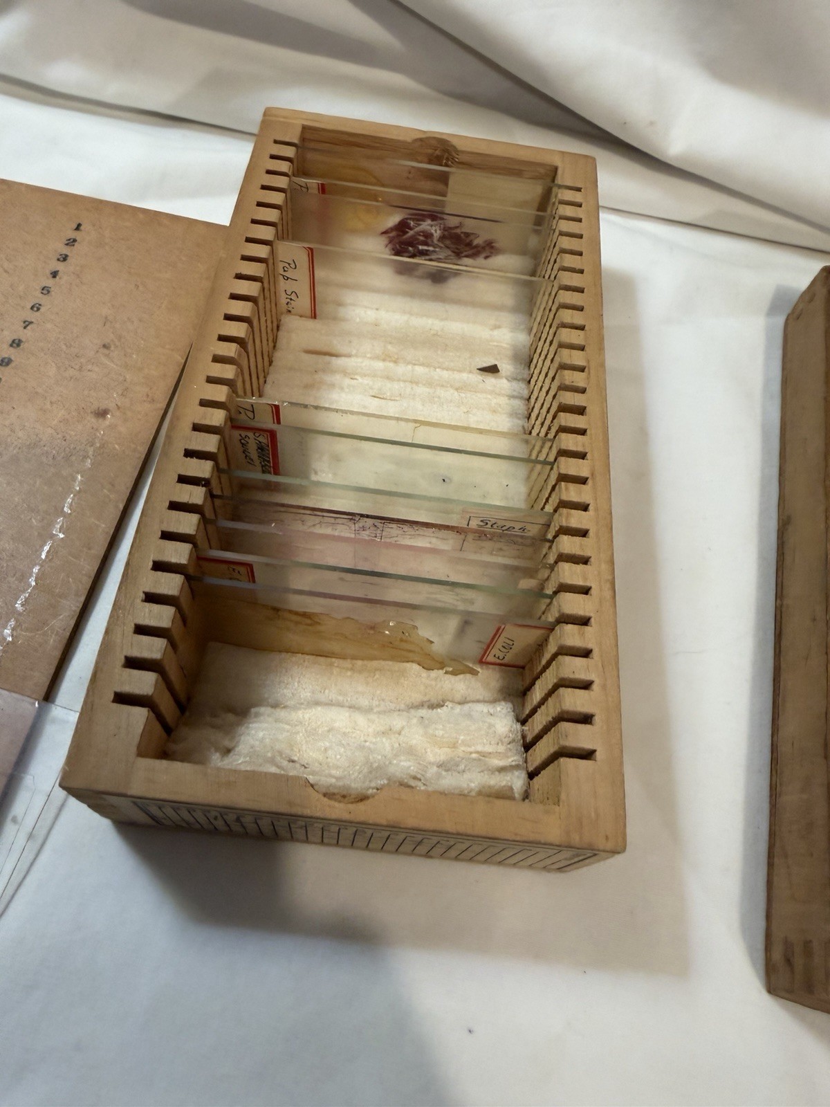 Vintage Microscope Medical Lab Slides