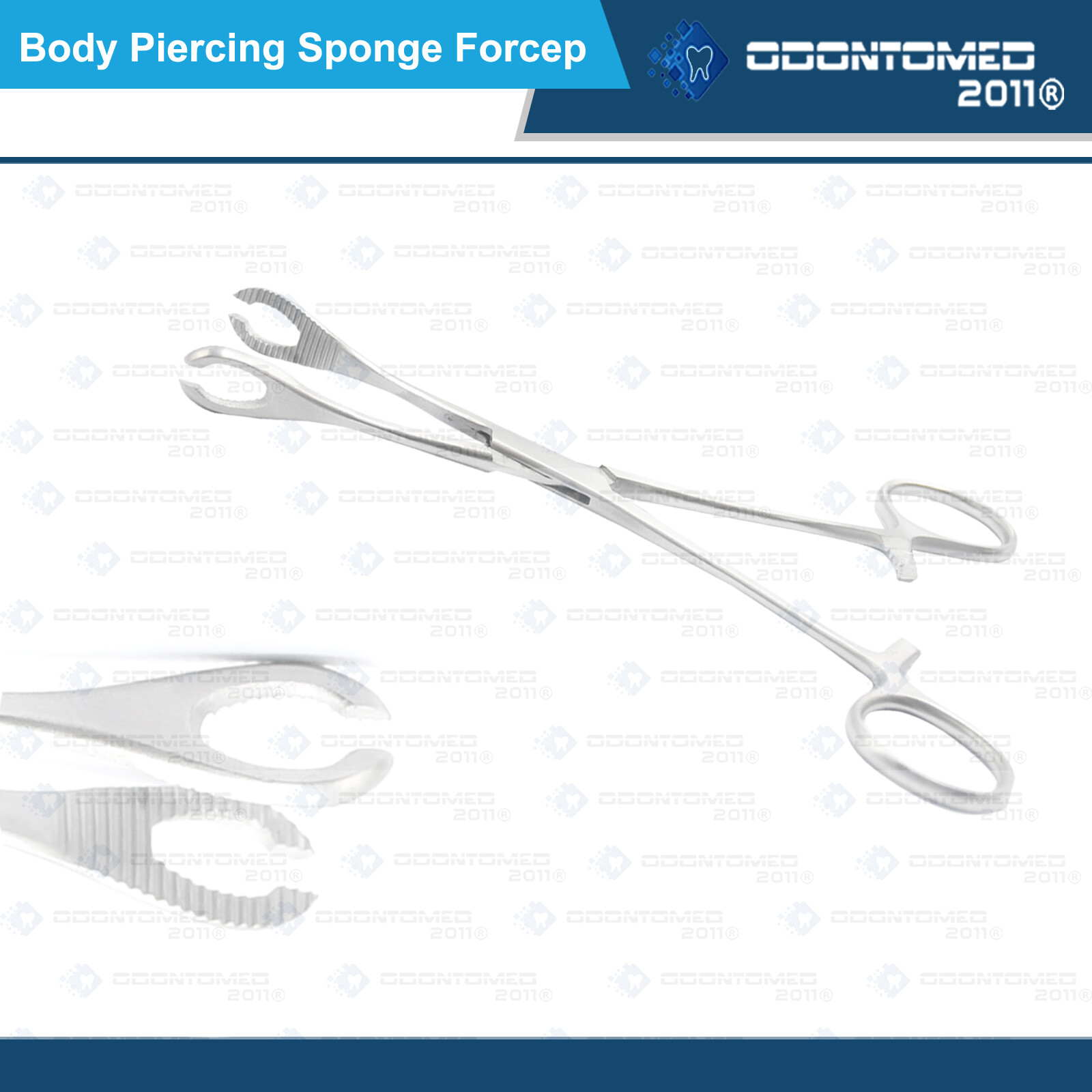 ODM Forester SPONGE FORCEPS Body Piercing Pliers Tool, New