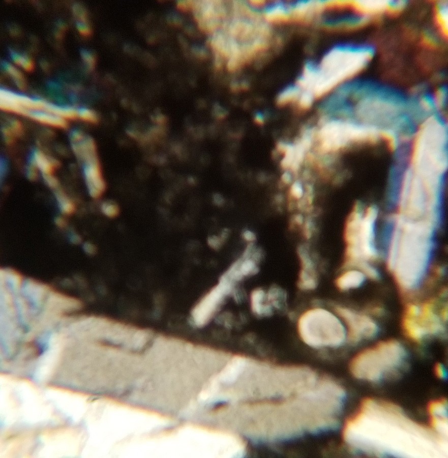 Thin-section Mount from DSDP Hole 485A Petrographic Microscope Slide 485A-12-1