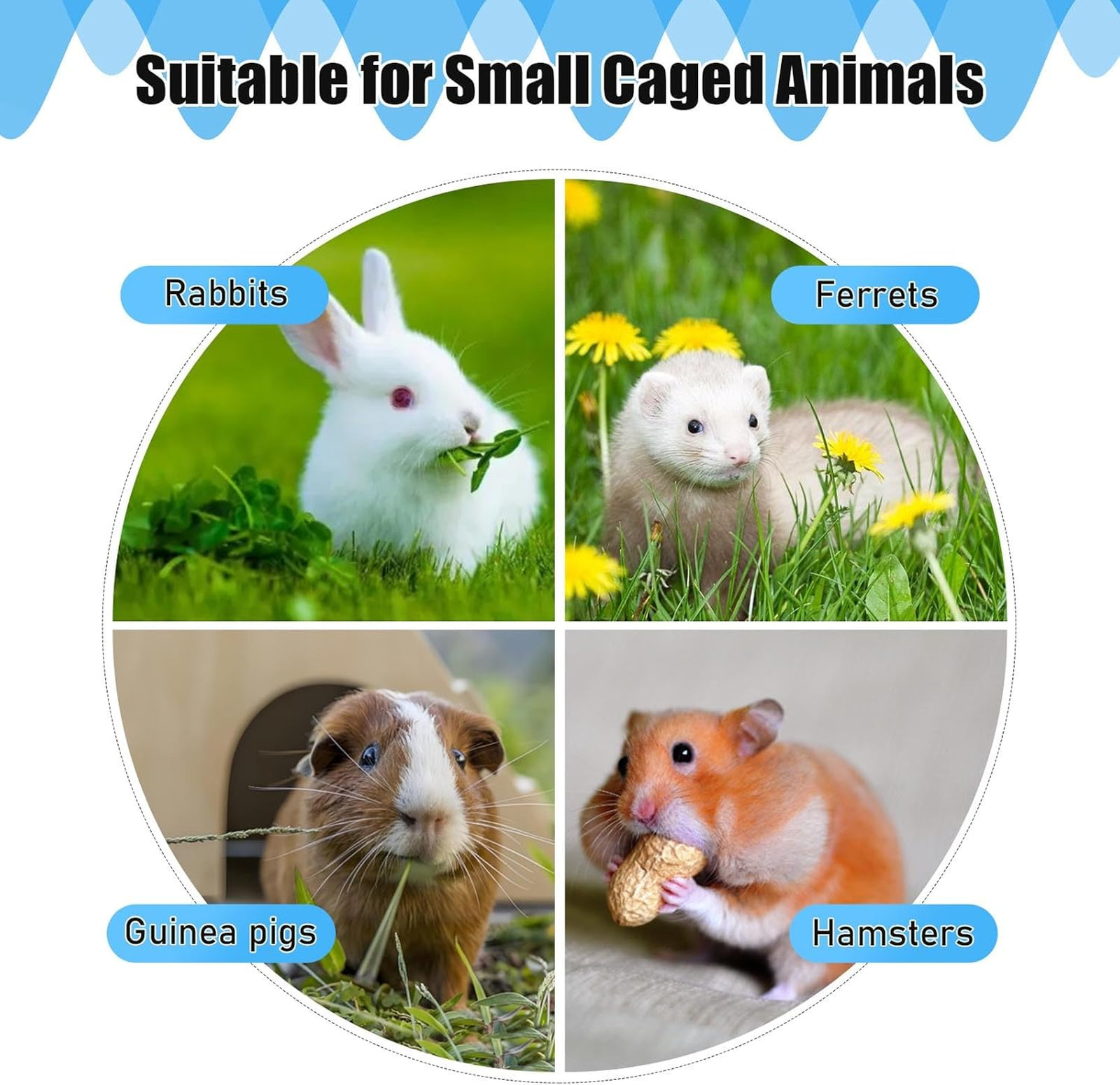 Automatic Rabbit Watering System, Gravity Fed Rabbit Waterer Kit | Rabbit Water