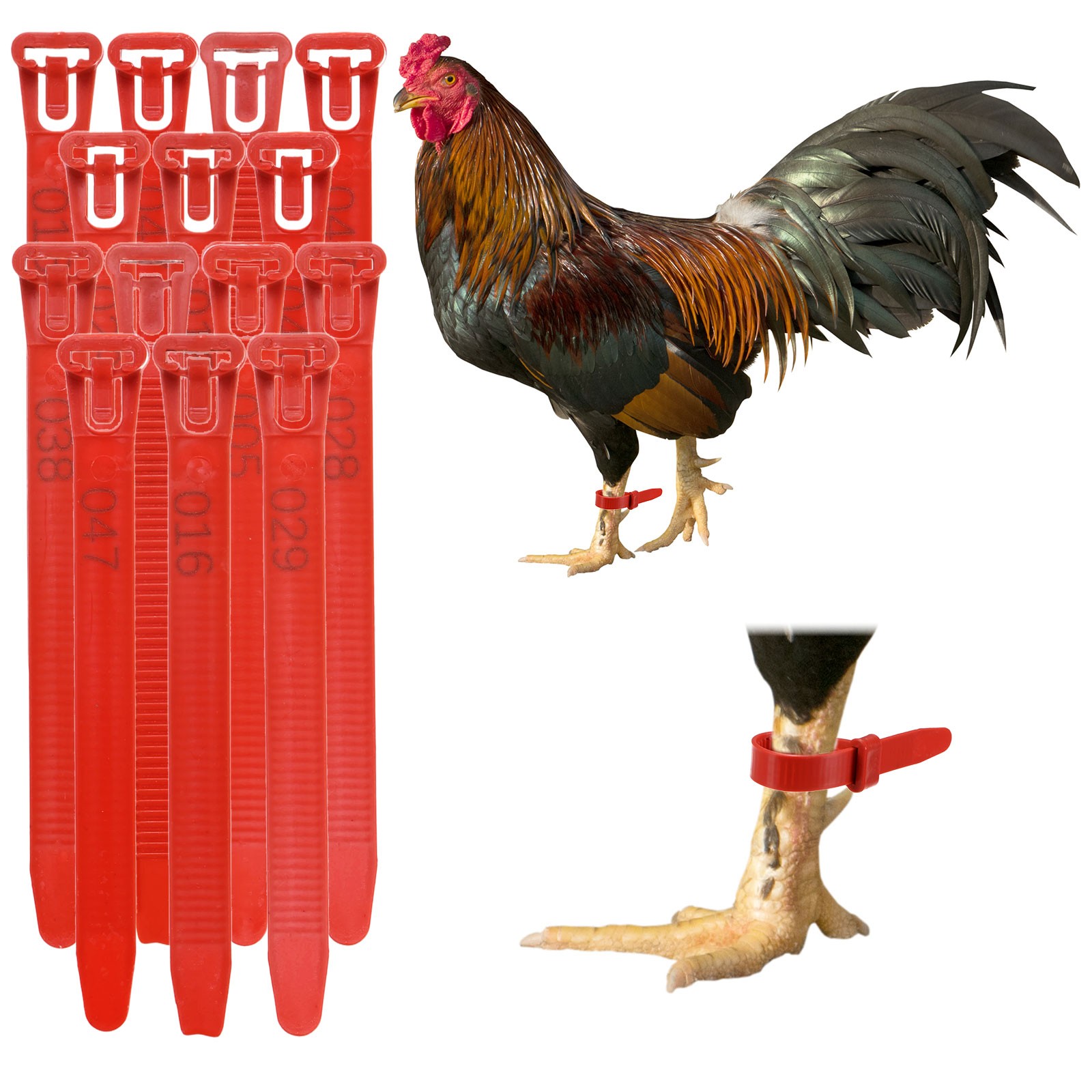 100-Pack Adjustable Chickens Leg Bands, 10-28 mm Plastic Leg Rings [Red]