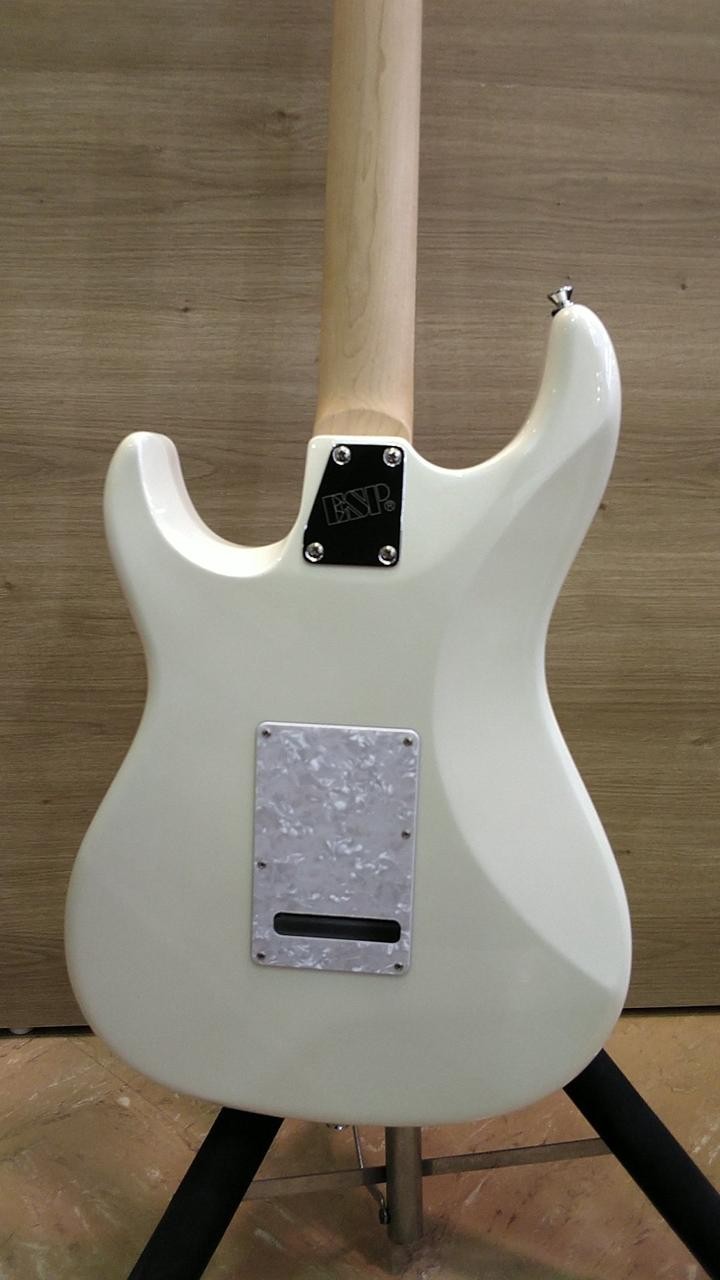 EDWARDS E SNAPPER AL R SNAPPER 506062