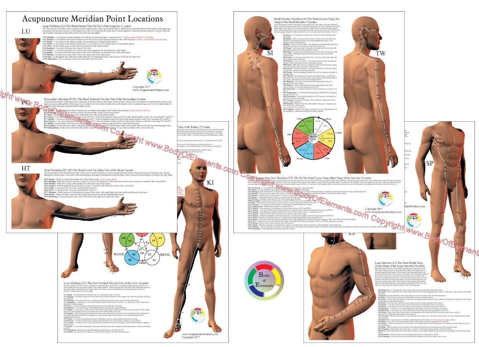 Acupuncture Anatomical Point Location Reference Charts 8.5" X 11" Laminated