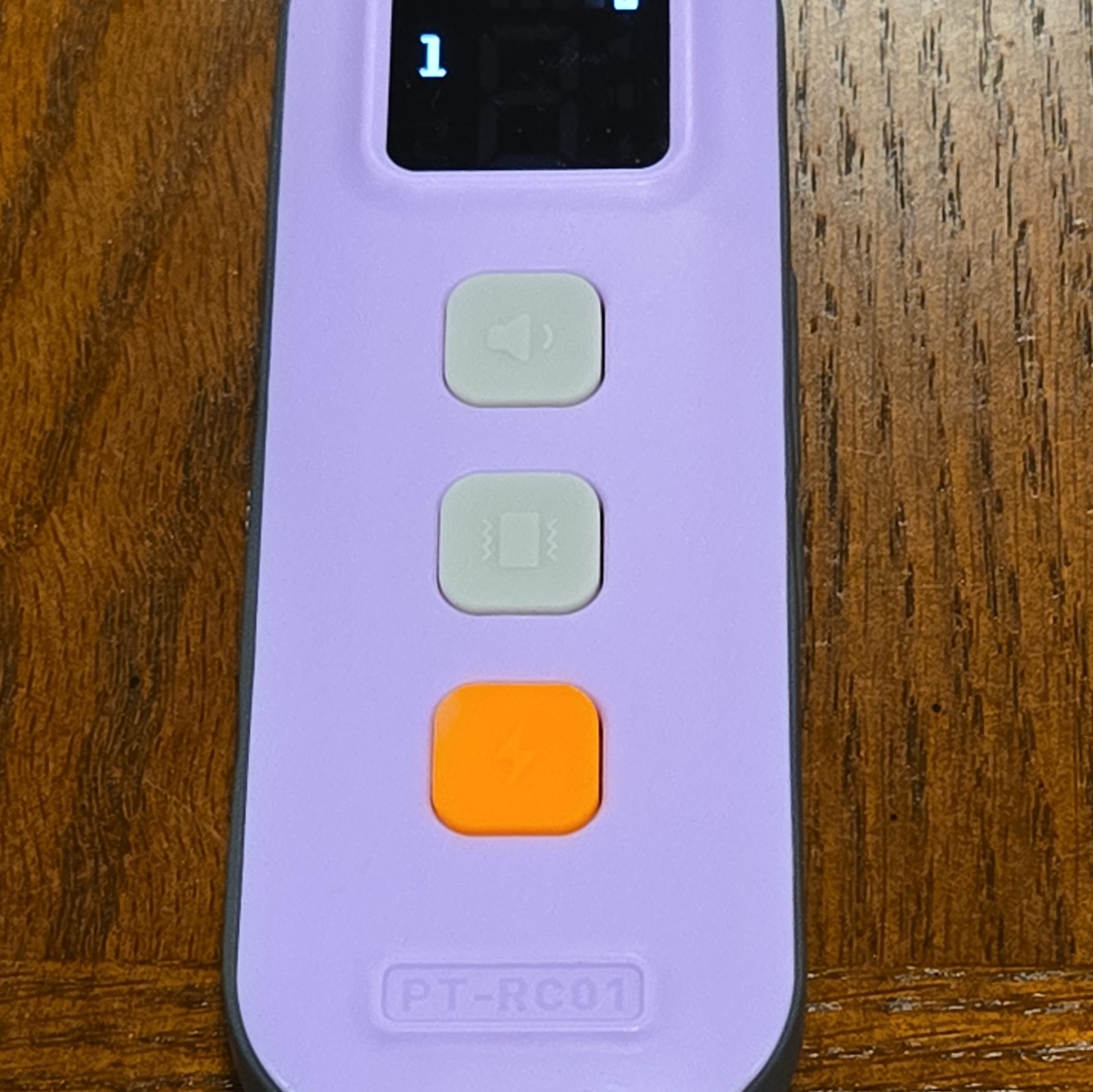 Pettoria PT-RC01 Training Collar Replacement Remote Control *REMOTE ONLY*