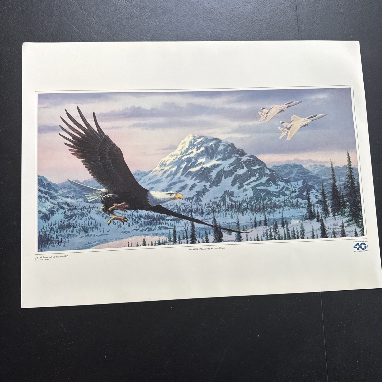 AIR FORCE Art Collection Alaskan Eagles Poster Richard Allison 17” X 23”