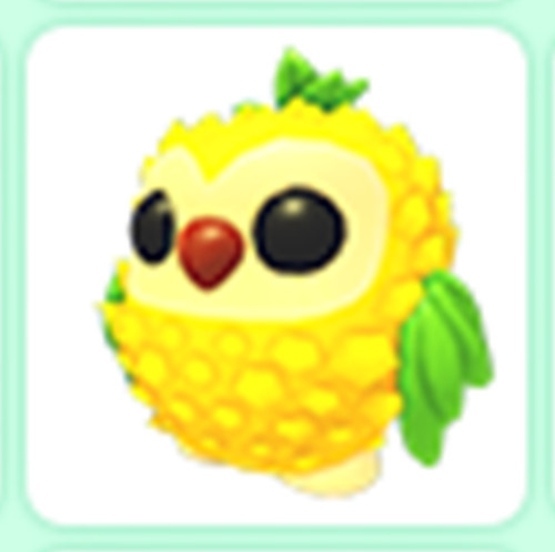 Pineapple Owl - Adopt right now