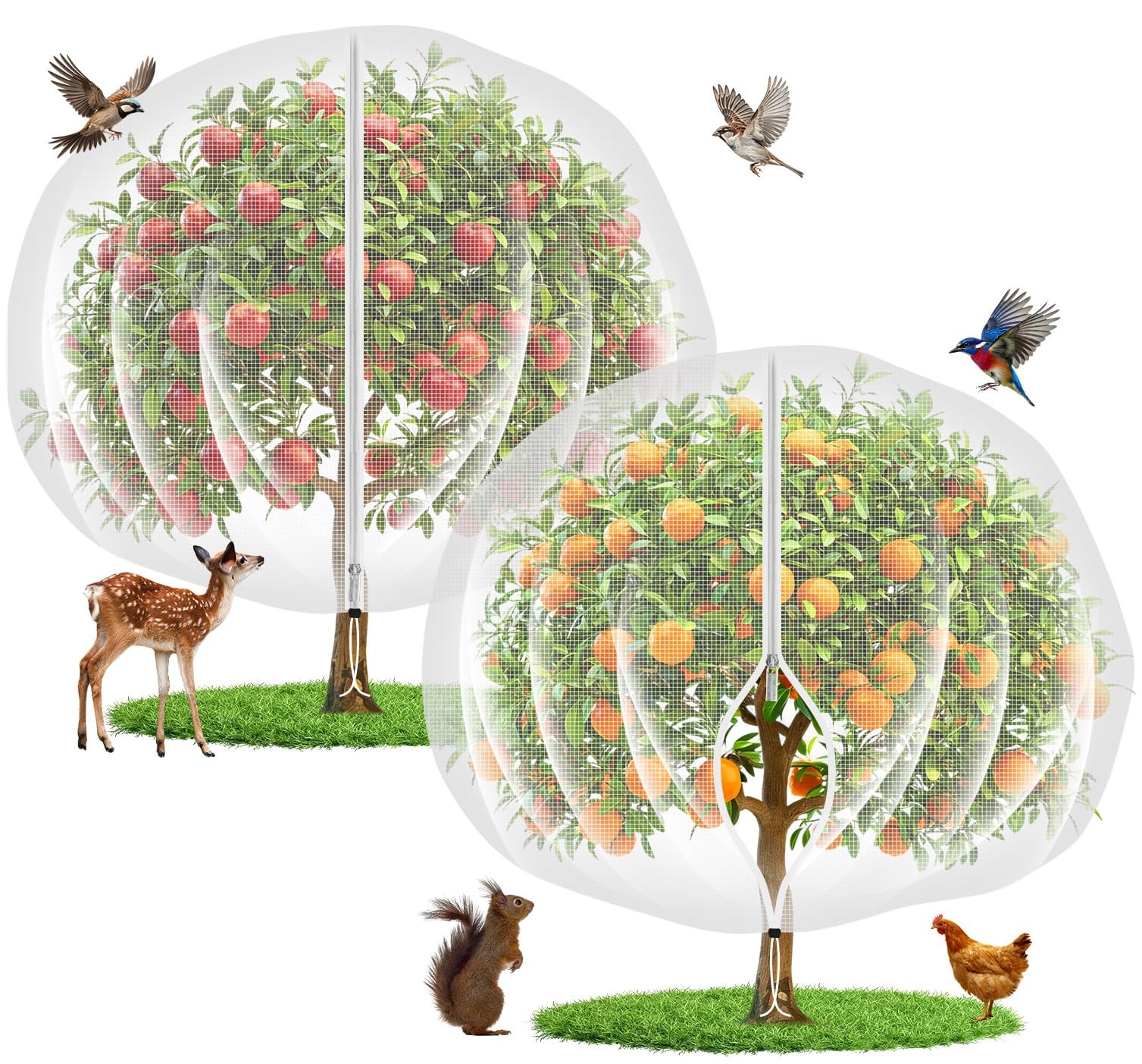 10'x10' Fruit Tree Netting Cover with Zipper and 10ftx10ft, Transparent