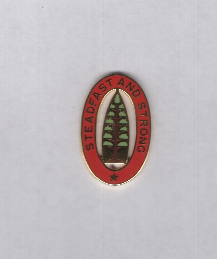 US Army 5th Corps Artillery crest DUI clutchback badge V-21