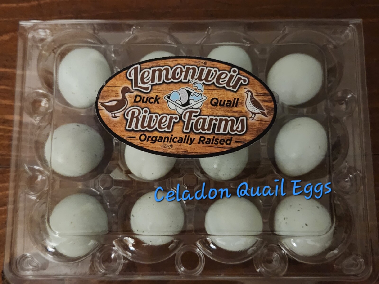 6++ Organically raised Welsh Harlequin Hatching Eggs. NPIP cert. 35-0909
