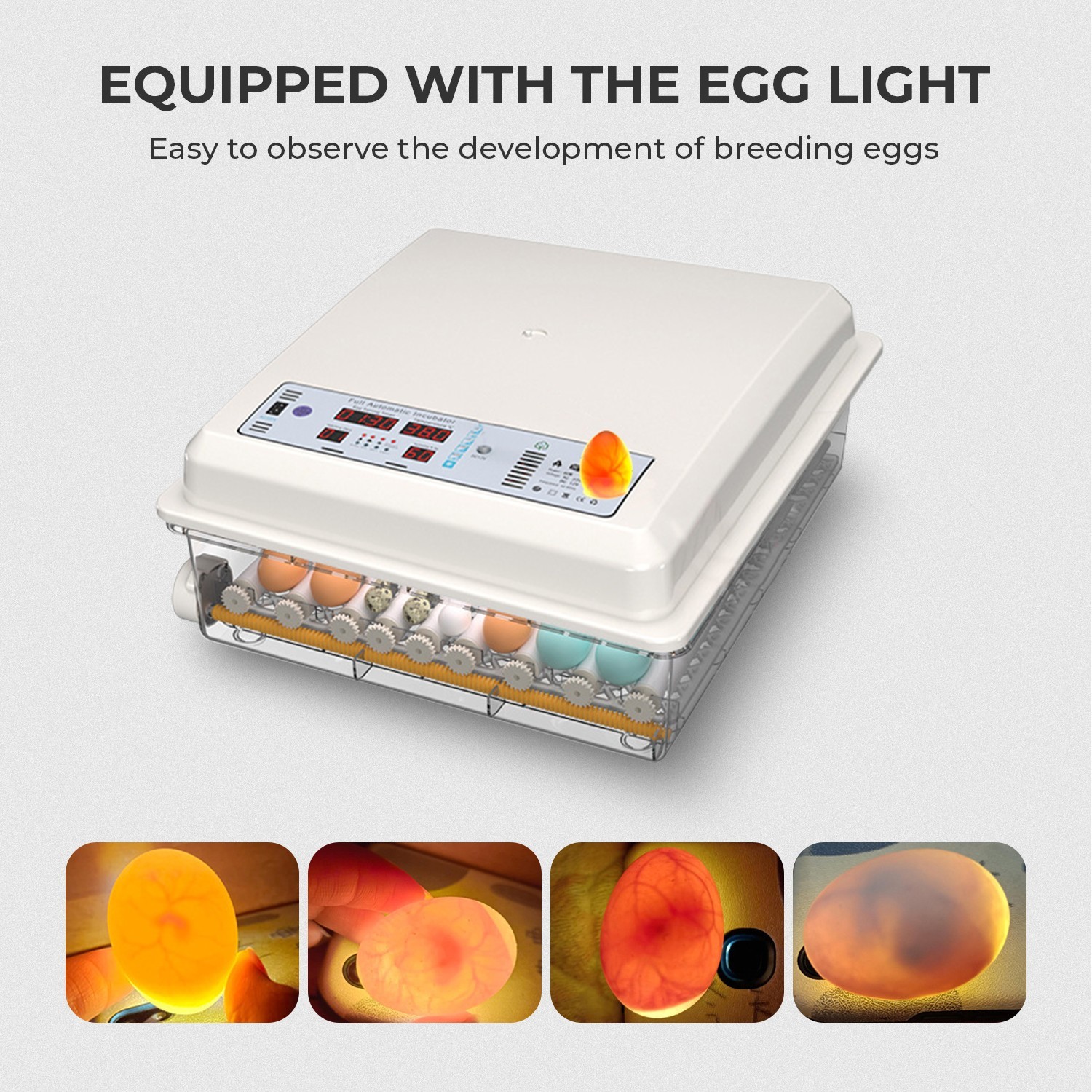36Egg Incubators for Hatching Eggs with Automatic Egg Turning and Egg Candler