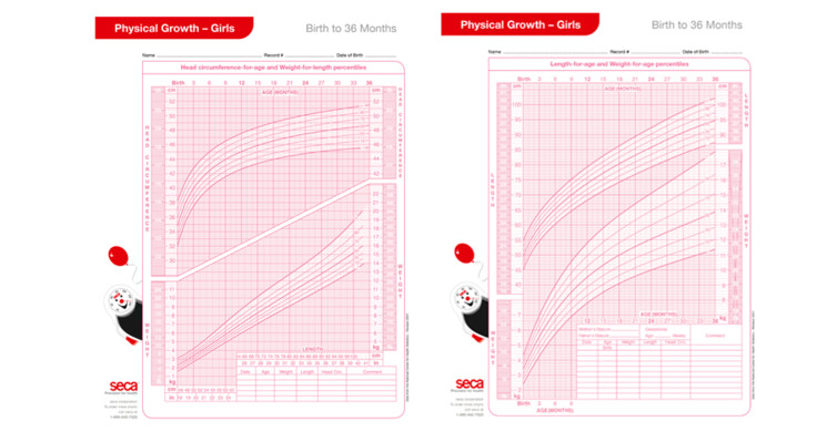 SECA-Growth charts (Girls 2-20 years ), Pack of 100 Sheets