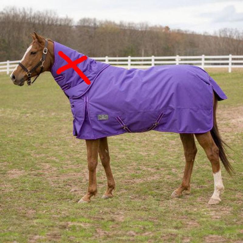 GENTLY USED-TuffRider 1200 D Comfy Winter Medium Weight Turnout Blanket W/ Detac