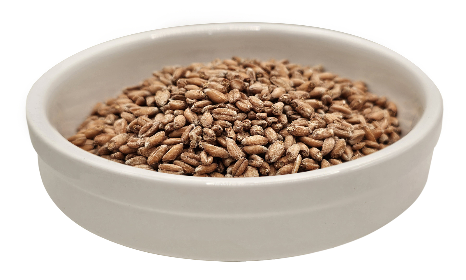 Home Brew Ohio Spelt Grain 5lb