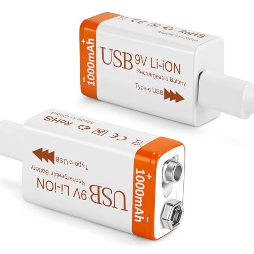 Rechargeable Lithium 9V Batteries 1000mAh with 2 in 1 2 Pack 9V (Rechargeable)