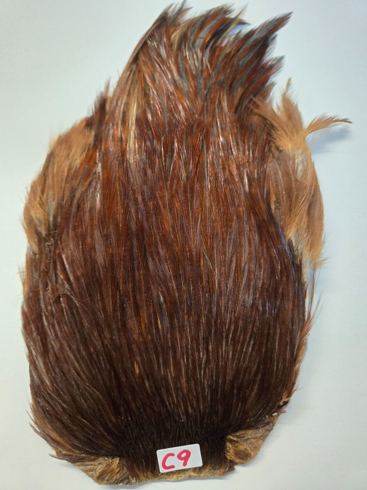 NATURAL SUPREME " Rooster Cock Neck "  #C9  Photo you see it what you get
