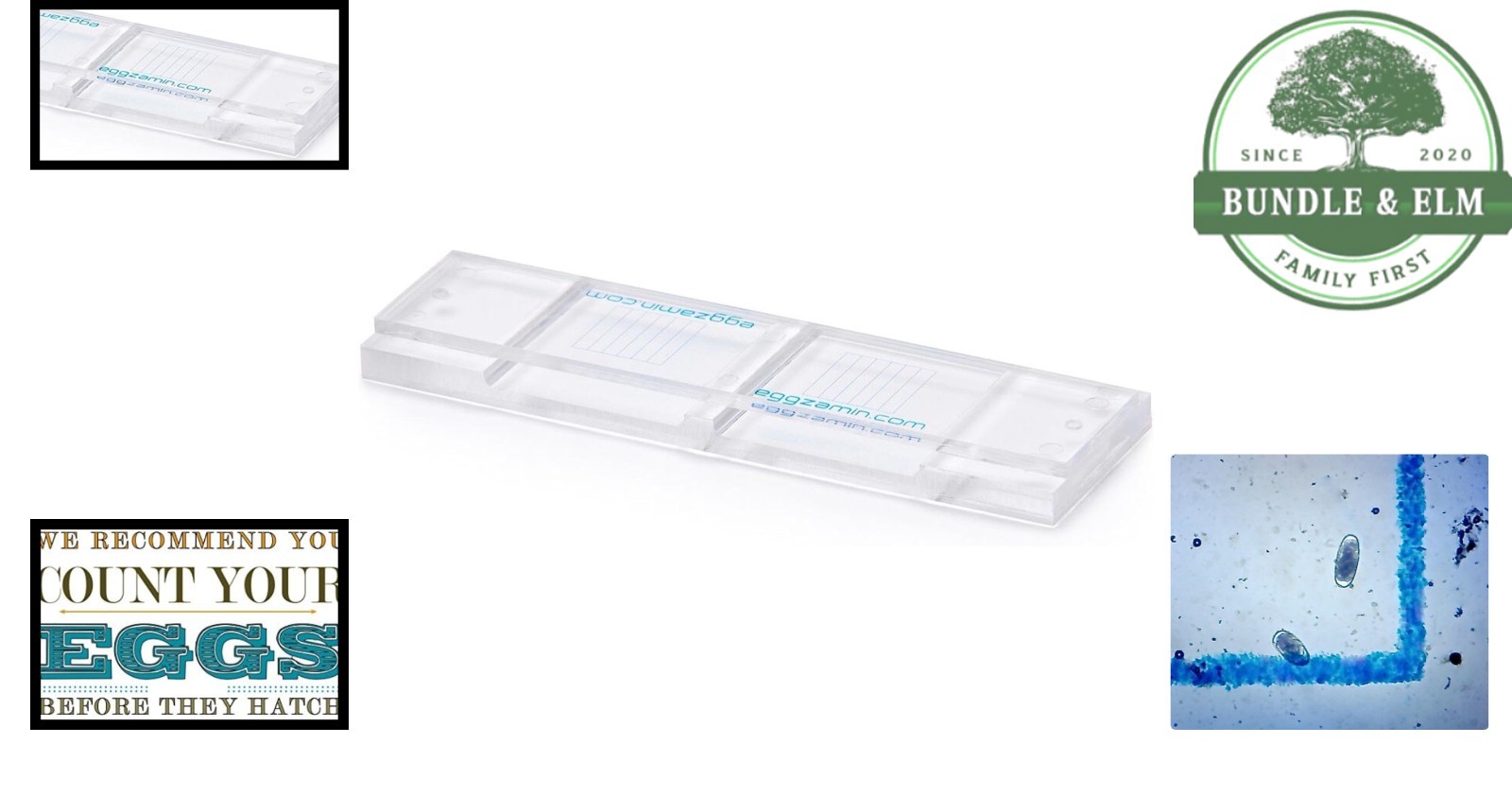 Led Light Microscope Slide for Reliable Fecal Egg Counts in Veterinary Use