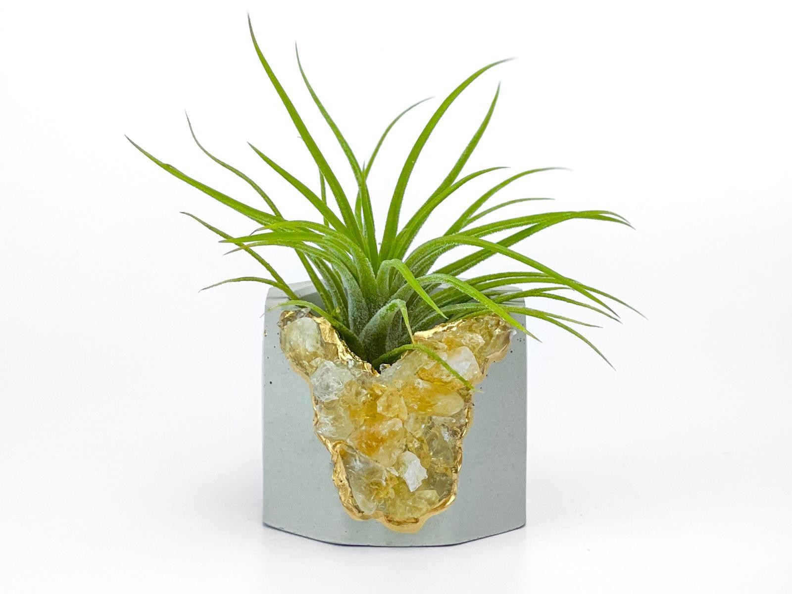 Raw Citrine Succulent Geode Planter Crystal Air Plant Holder