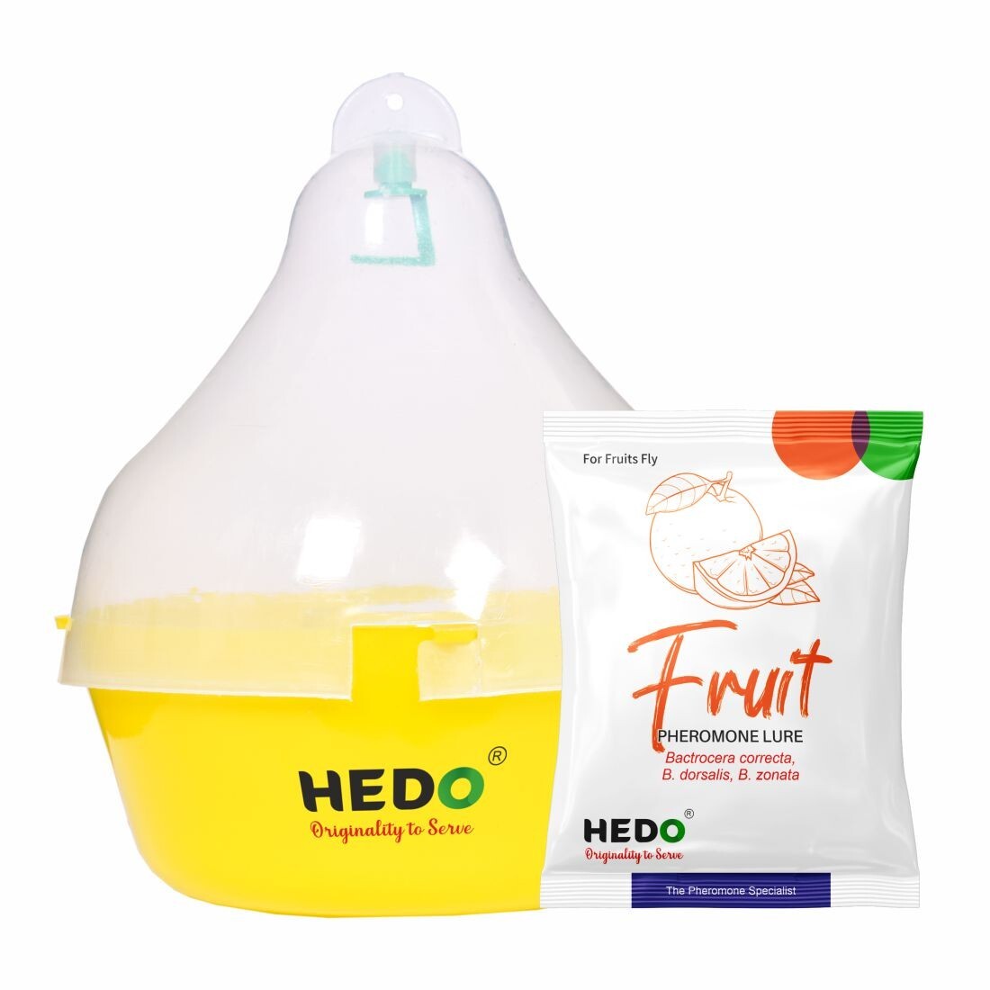 HEDO Fruit Fly Pheromone Trap With Lure For Fruit (Bactrocera Dorsalis)Pack of 5
