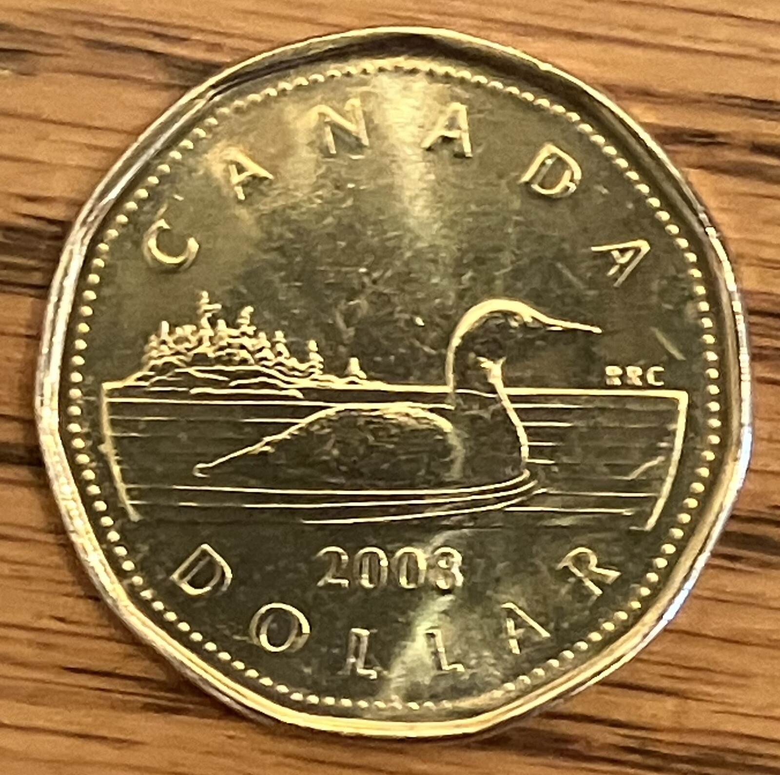 2008 Canada $1 one dollar loonie coin **75% off combined shipping**