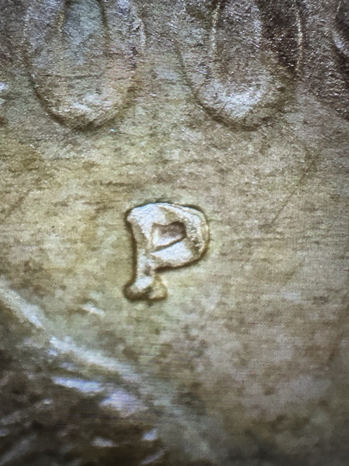 Rare 2000 P Sacagawea One Dollar Coin Lamination Error