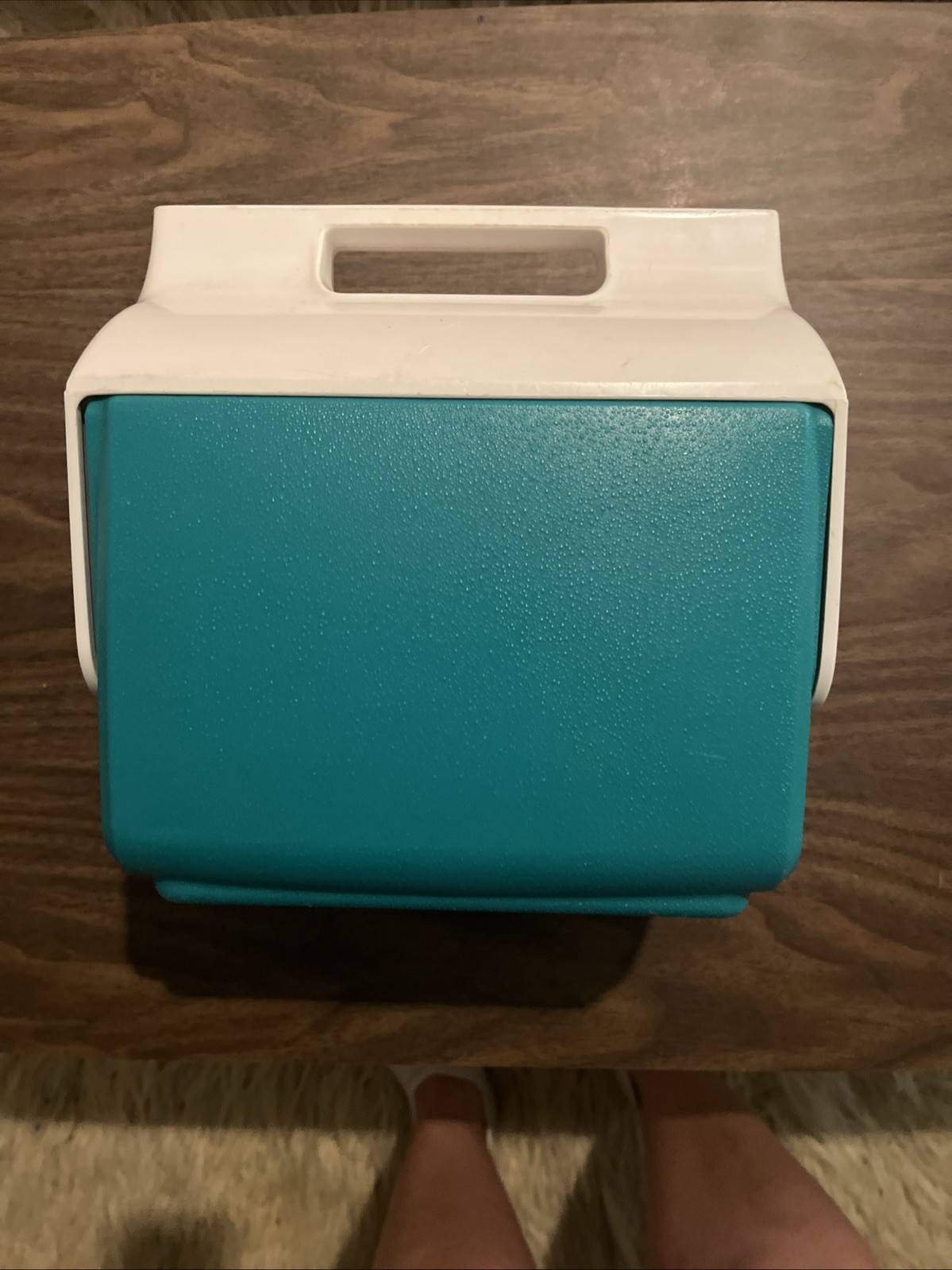 Mini Mate Igloo Cooler