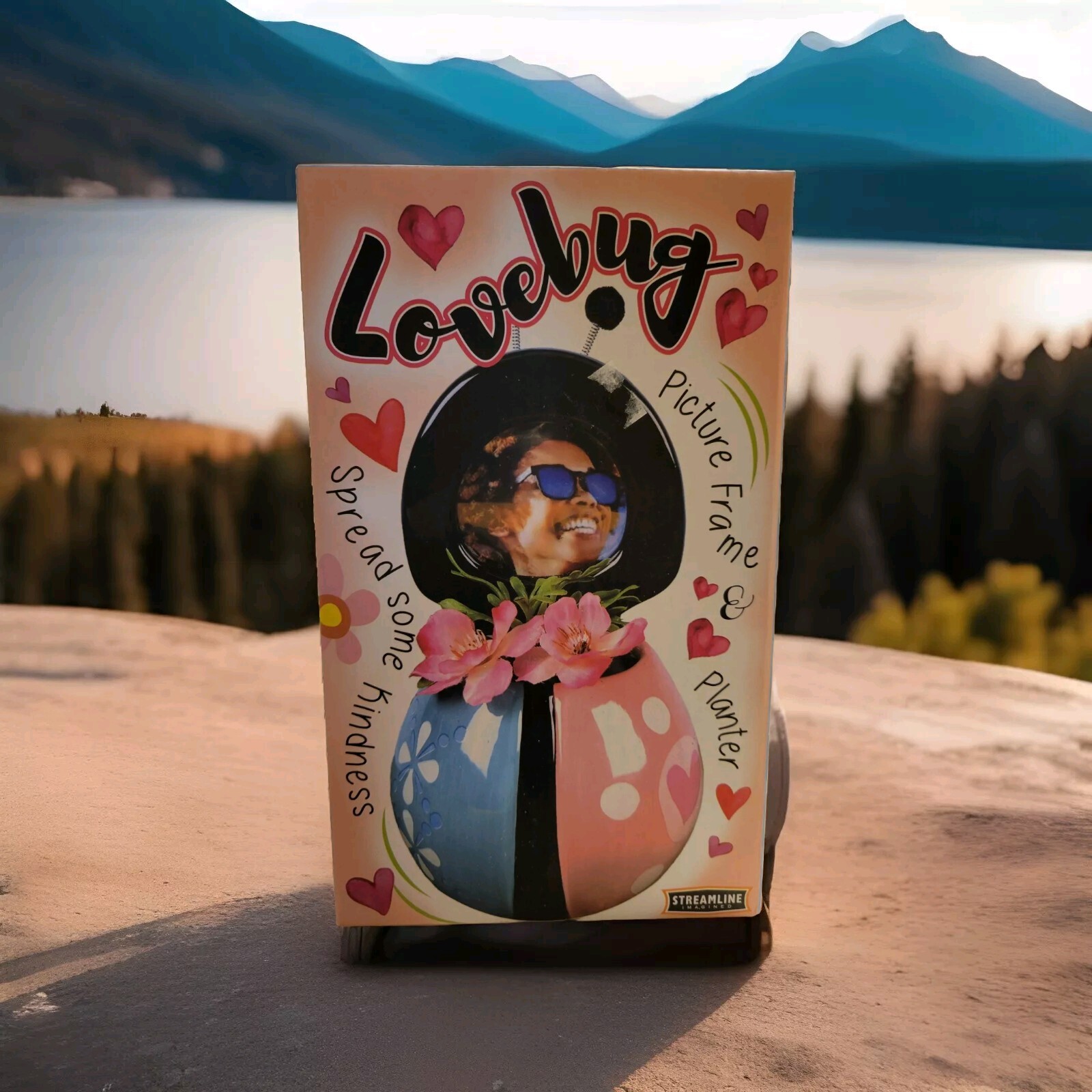 Love Bug Succulents Planter Blue/Pink Heart