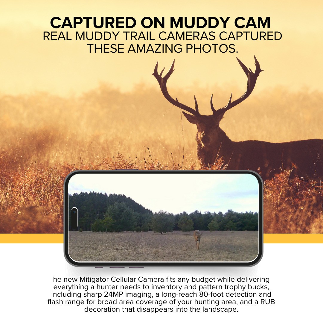 Muddy Mitigator Cellular 24MP Imaging Trail Camera 80 Feet Detection Bundle