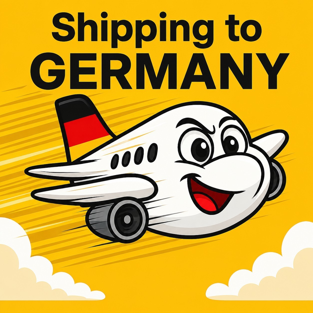 Additional Shipping Fee（Germany）