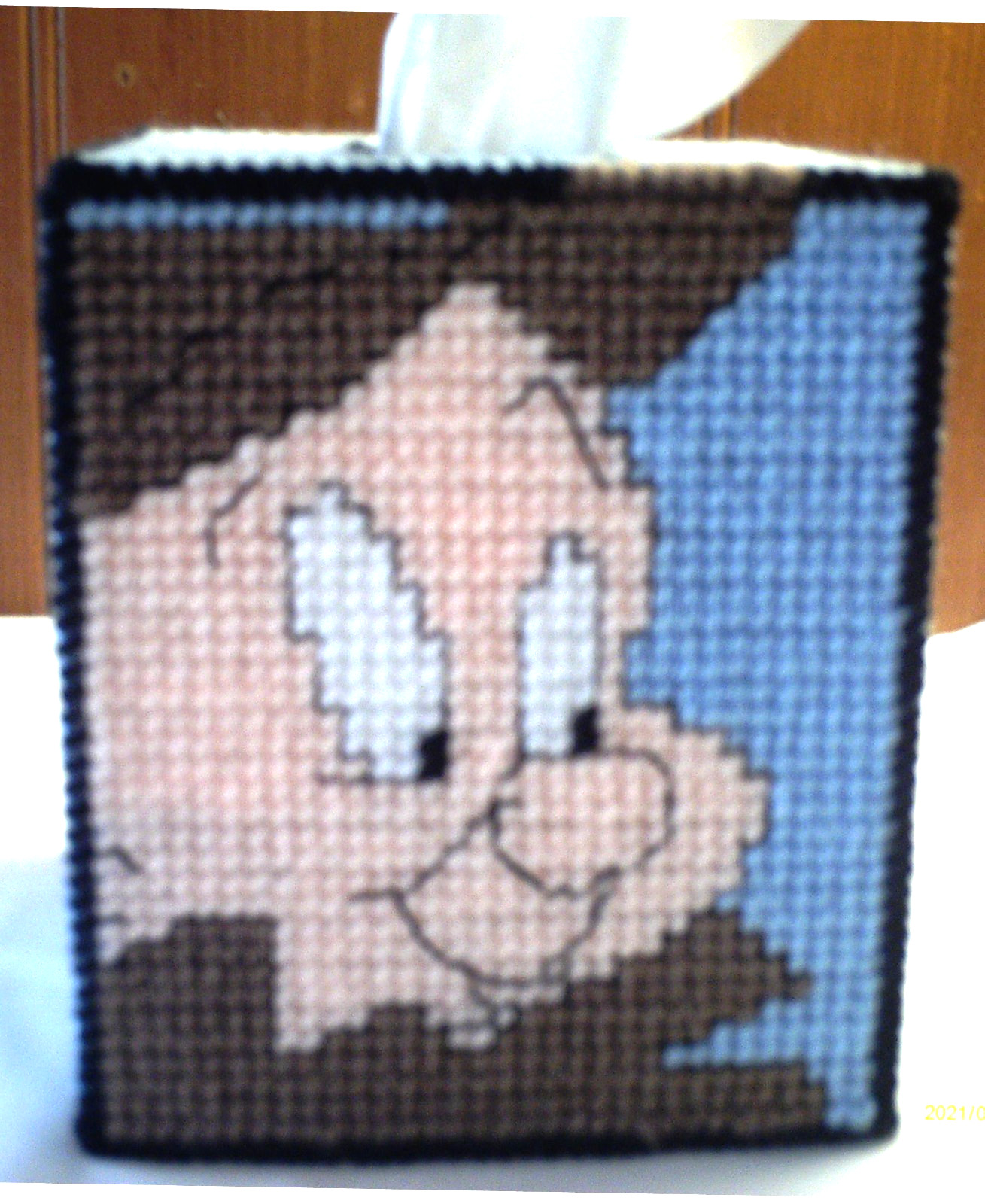 "Elmer Fudd" Tissue Box Cover (Plastic & Yarn) Finished
