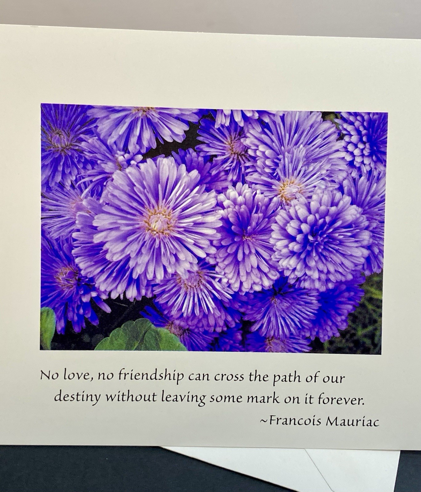 Photograph Of Purple Aster Flowers Blank Note Card W/Envelope Quote By Mauriac