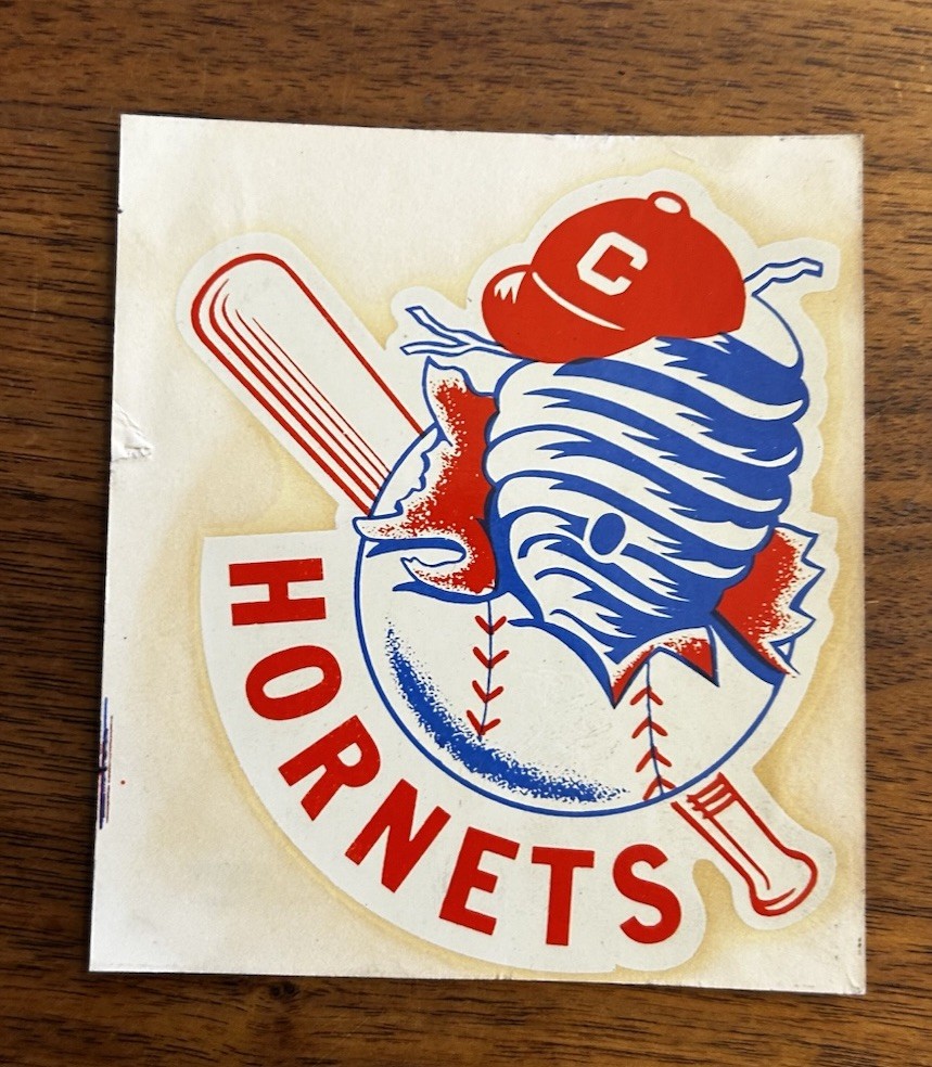 Southern League Charlotte Hornets Vintage Defunct 1970's Team Logo Water Decal