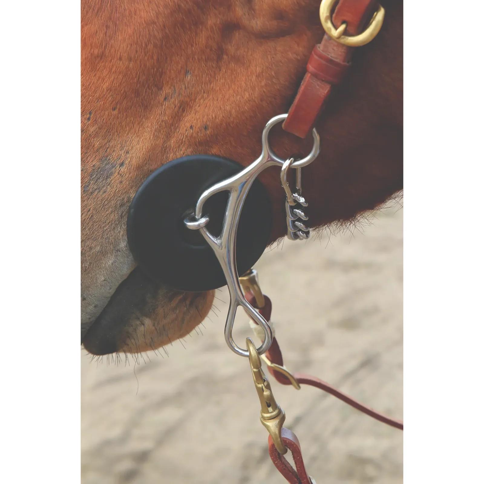 Professional's Choice Brittany Pozzi 5 Inch Shank Medium Twist Gag Bit - Short