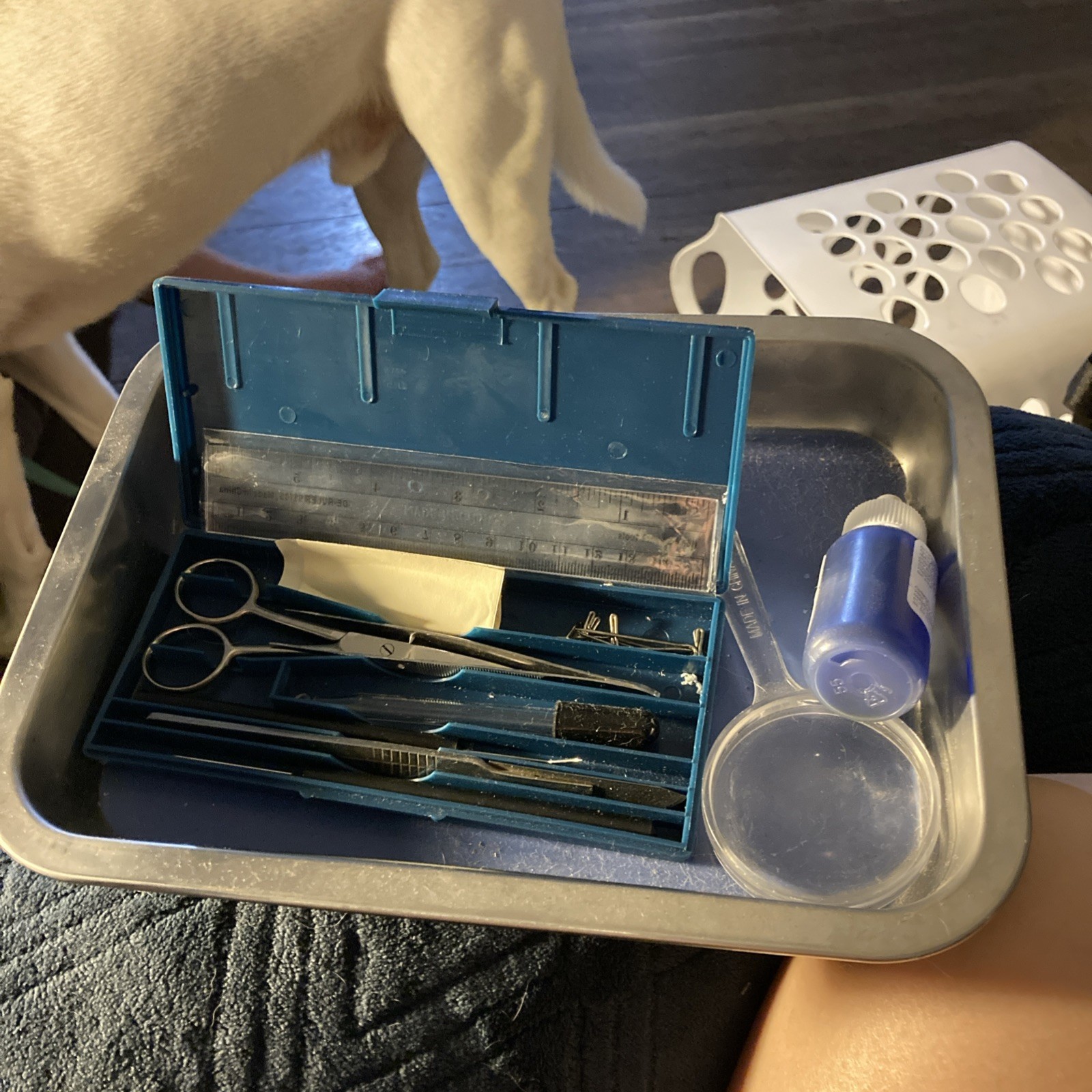 Biology Dissection tools - mat with all dissection tools