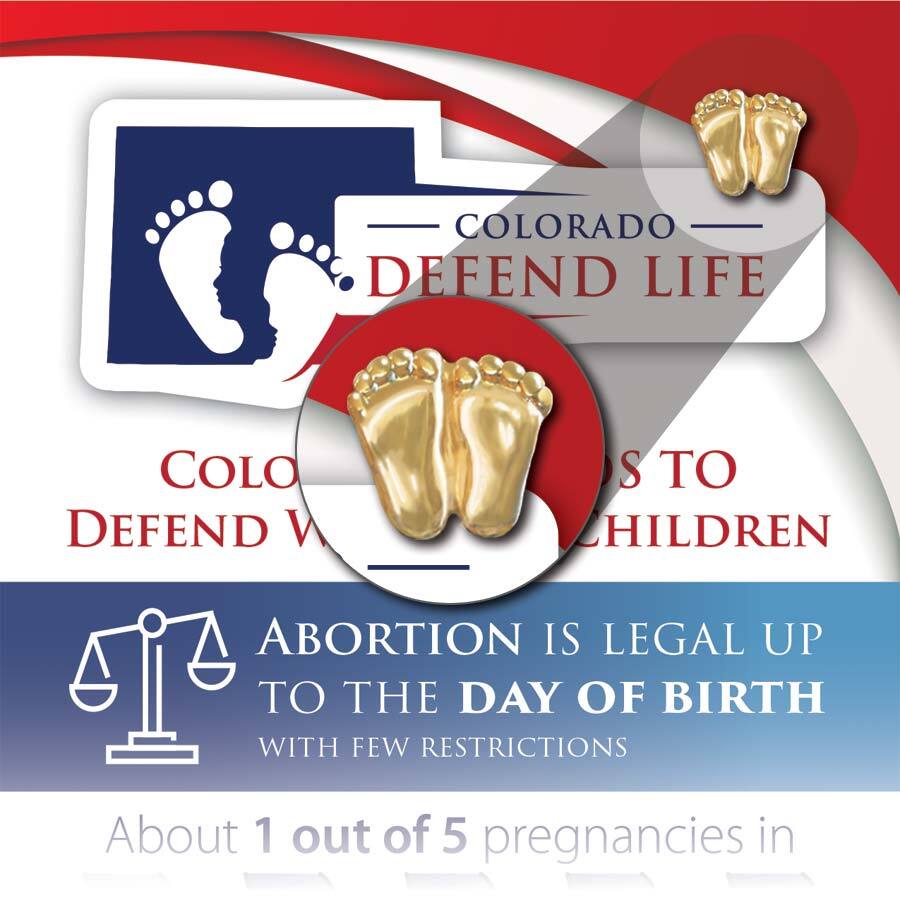Precious Feet, Gold-Colored, Colorado Stats Card Jewelry, Lapel Pin