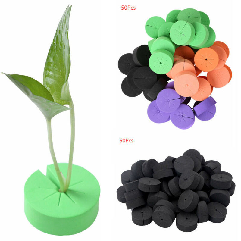 50 Foam Inserts Garden Clone Collars W/8 Spokes for Hydroponics Cloning Plant 2"
