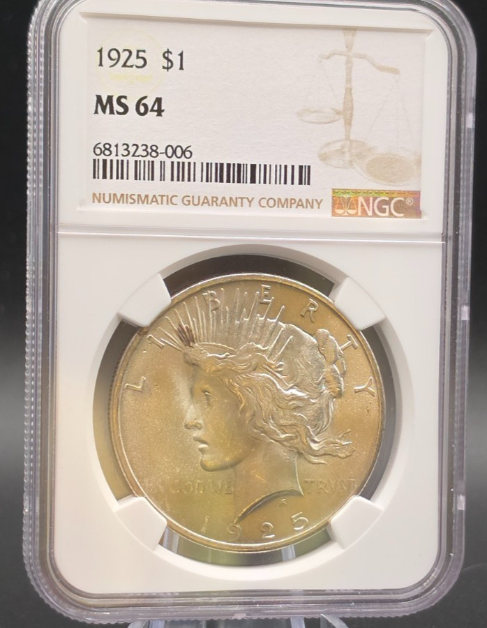 1925 Peace Dollar NGC MS64 – Bright White Luster, Clean Fields, Certified